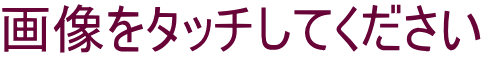 画像をタッチしてください